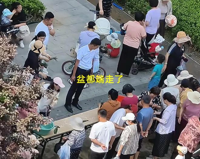 子大妈连盆都端走了还围堵物业要鸡蛋凯发国际平台山东：小区端午免费包粽(图3)