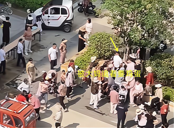 子大妈连盆都端走了还围堵物业要鸡蛋凯发国际平台山东：小区端午免费包粽(图5)